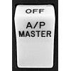 A/P master